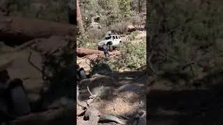 John Bull gate keeper fallen tree obstacle 5-4-19