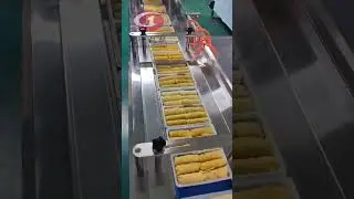 Horizontal reciprocating packaging machine (high-end version)(upper film) #automatic #foodmachine