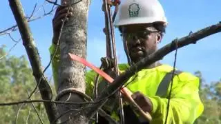 Electrical Hazard Awareness