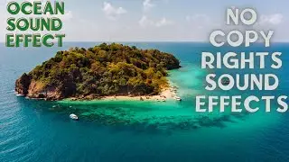 Nature Therapy: Relaxing  - OCEAN SOUND EFFECT