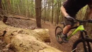 2017 Saracen Mantra Carbon Elite
