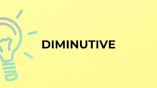 What is the meaning of the word DIMINUTIVE?