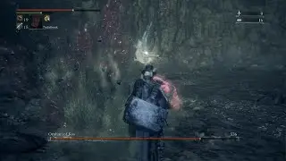 Exactly why I'd never adopt an Orphan|Orphan of Kos|Bloodborne|