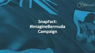 The Bermuda Health Council Launches #ImagineBermuda Campaign