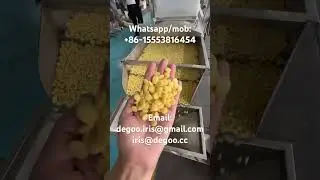 Roasted corn flakes make extruder machinery/Corn chips snacks production line Jinan dg