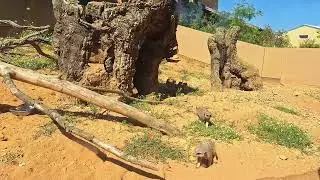 ZOO Santo Inácio - Vila Nova de Gaia