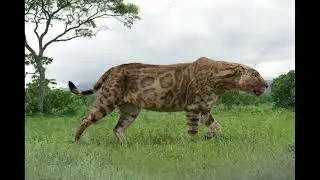 Dinofelis tribute