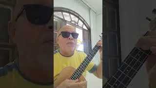 COMO DOIS ANIMAIS - ALCEU VALEN&Ccedil;A.