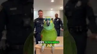 🦜 Parrot Exposes Officer&rsquo;s &ldquo;Alarm System&rdquo; 💀 | Funniest Interrogation Roast Ever | Shock Lens