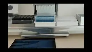 Pipet 1 &micro;l by Automated Pipetting System