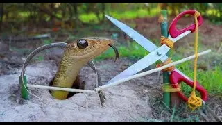 Build the Most Amazing Snake Trap In Hole Make By Iron cutting pliers | Easy Snake Trap REACT