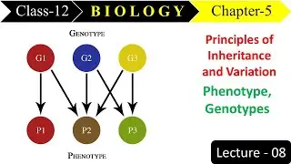 Principal of Inheritance and variation | Phenotype and Genotype