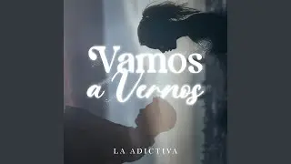 Vamos A Vernos