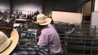 Pontotoc, MS IPRA Rodeo