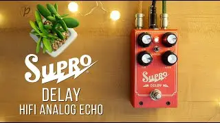 Supro Delay Hi-Fi Analog Echo