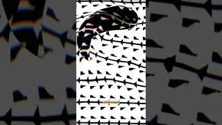 mouse wave scroll effect in unicorn studio | #animation #webdesign