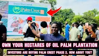 Touring ₦7 Million Hectares of Palm Trees | Earn ₦10-18 Million Yearly | Palm Crest Phase 2
