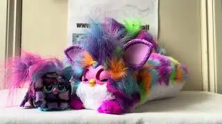 Neon Star and Dis-Co-Dazz DJ Furby and Furblet