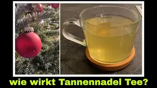 Tannennadeltee Kr&auml;utertee aus Tannennadeln | Selbstversorgung Tanne
