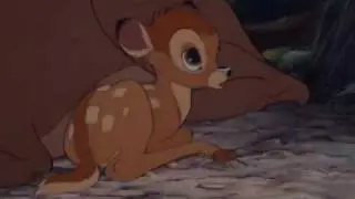 Bambi- The Circle of Life