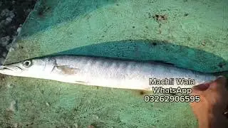Karachi Fisheries fish Cutting (Pakistan) | Online Order Fresh Fish on Door Step