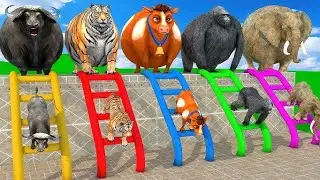 Long Slide Game With Cow Elephant Gorilla Hippopotamus Tiger 3d Animal Game Funny 3d Animals
