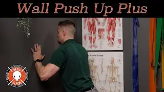 Wall Push Up Plus: Serratus Anterior Activation & Scapular Stability | MYo Lab Health & Wellness