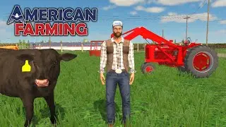 I BOUGHT CATTLE WITH ZERO EXPERIENCE | First Gen Farmer