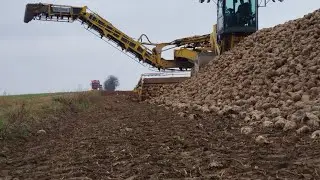 Ropa Maus 6 am Rüben Verladen 