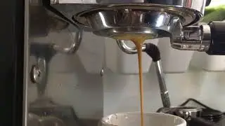 Rancilio Silvia PF bottomless + Filtre Marzocco 1T