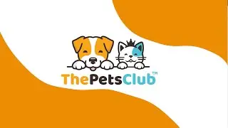 Best Online Pet Store for Your Furry Friends