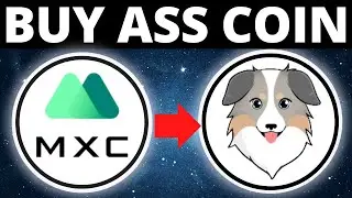 How To Buy Australian Safe Shepherd Coin ASS Token On MXC Exchange