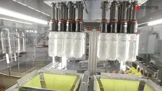 TES AUTOMATION Packaging of PET Bottles into the Carton Boxes