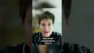 NZD vs. USD Explained