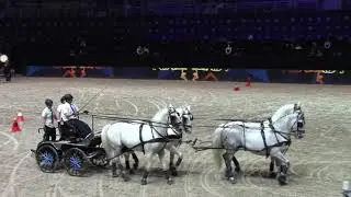 Jiř&iacute; Nesvačil jun. v O2 areně