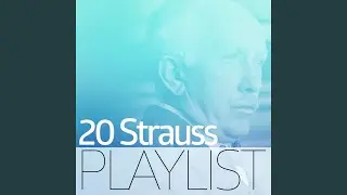 A Hero's Life, Op. 40: VI. The Hero's Retirement from this World and Consummation