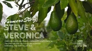 Organic Avocado grower works with nature. Steve shares his story with Fresh Box Organics