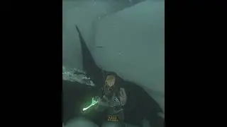 Lore Accurate Link One-Shots Aerocuda (joke)