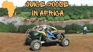 Microsoft Flight Simulator Juice Goose in Africa