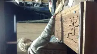 Experimental tuning eerie harp