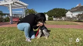 Service dog helps Air Force veteran heal from the invisible scars of war