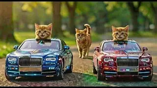 Mama Cat Trims Fur on the Farm and Makes Tiger Hat For Kittens At Home🐾🎩🐯 Luma MeowMama