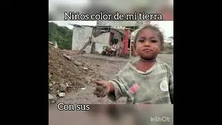 Las casas de cartón - Guaraguao (letra e imágenes)