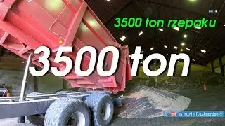 wyładunek - 3500 ton rzepaku