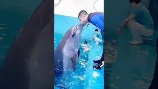Top 3 Most Intelligent Animals After Human 😱 | Day- 6