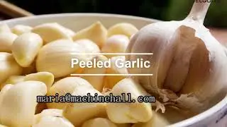 Garlic Peeling Production Line #garlic #peeler