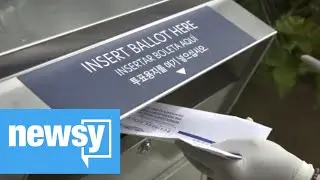 Online Ballot Tracking Is Reliable But Not Perfect
