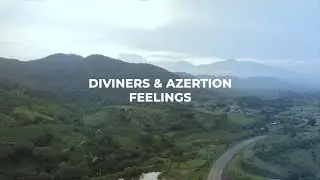 Diviners & Azertion - Feelings (Official Lyric Video)