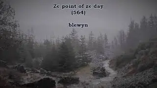 (learning Welsh) BLEWYN // vid PNT ze DAY 564 blewyn
