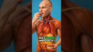 what happens if you eat raw Almonds inside of your body #humanbody #almond #anatomy ##health #aiart